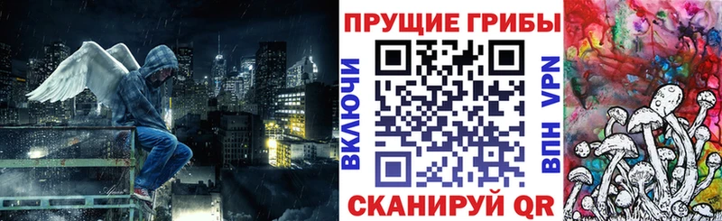 Галлюциногенные грибы Psilocybe  Дивногорск 